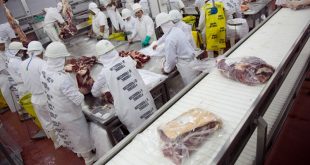 Los envíos de carne vacuna crecieron el primer trimestre 18,6% hasta los US$ 601,2 millones