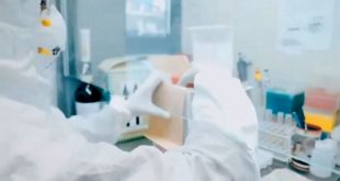 Once personas murieron y 637 fueron diagnosticadas con coronavirus en las últimas 24 horas