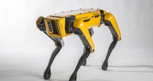 Más de 5 millones de pesos, el precio del perro robótico más famoso del mundo