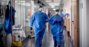 Coronavirus: Anmat aprobó un test argentino de diagnóstico basado en tecnología RT-PCR