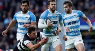 Rugby: la UAR terminó de elaborar el protocolo para volver a la actividad