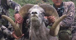 El hombre que mató al león Cecil ahora cazó a un carnero salvaje protegido