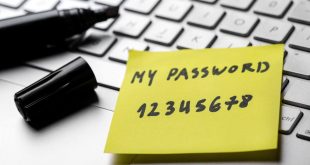 Fácil para los hackers: “123456” es por quinto año consecutivo la contraseña más usada del mundo