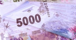 El Banco Central está trabajando en una “nueva familia de billetes”
