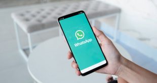 ¿Cómo hacer encuestas vía WhatsApp?
