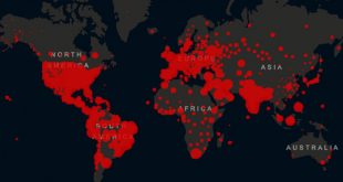 El mundo llegó a 30 millones de casos de coronavirus y más de la mitad están en América