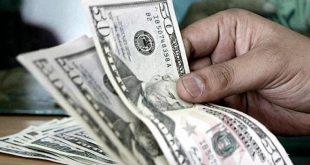 Dólar ahorro: el BCRA facilita la compra de divisas
