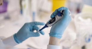 Vacuna contra el coronavirus: Pfizer pedirá autorización para su uso en noviembre