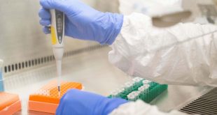 La vacuna contra el coronavirus de Oxford produjo inmunidad en adultos mayores
