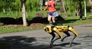Un perro robótico sale a pasear de noche y asusta a los transeúntes desprevenidos