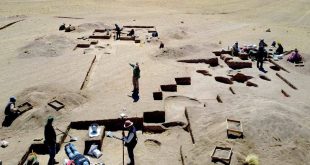 Descubrimiento arqueológico derriba el mito del «hombre-cazador»: el 50% eran mujeres