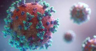 Advierten que la nueva cepa del coronavirus podría ser más contagiosa que la original