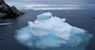 Alertan que impredecibles microbios pueden ser una amenaza para la humanidad