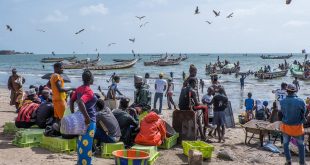 Más de 500 personas se contagiaron de una enfermedad desconocida en Senegal