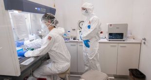 En Oxford aseguran que los contagiados de coronavirus pueden generar una inmunidad de seis meses