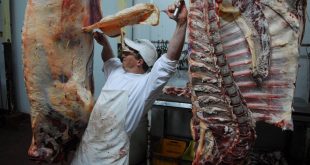 Carne a precios populares: negocian 12 tipos de cortes para 2021