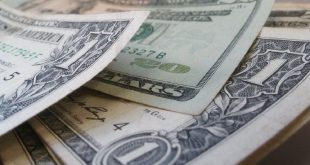 Boletín Oficial: la AFIP habilitó la web para consultar las percepciones por la compra de dólar ahorro