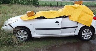 Temporal trágico: un árbol cayó sobre un auto y mató a una nena