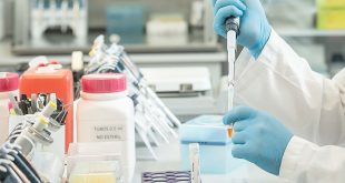 Coronavirus: en qué casos se podrá utilizar el suero equino y el plasma