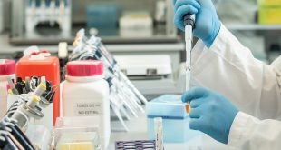 Las claves sobre las nuevas cepas de coronavirus en Argentina