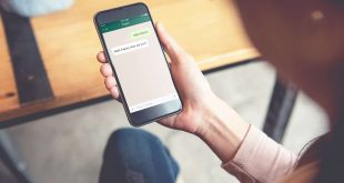 WhatsApp ahora permite importar packs de stickers animados en todo el mundo