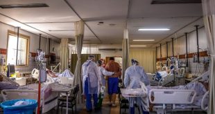 Confirman que puede existir una infección simultánea con dos cepas de coronavirus
