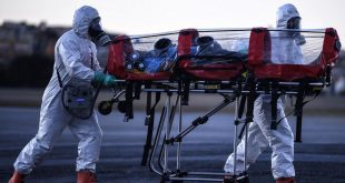 Alerta de la OMS: aumentaron por primera vez en siete semanas los casos de coronavirus en el mundo